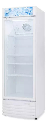 Heladera Exhibidora Vertical Philco Phev329b2 Blanca 329l C Blanco