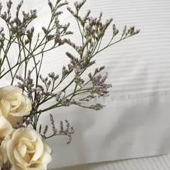 Juego Sabanas Cannon Classic Twin Blanco Raya 1 Plaza 1/2 Blanco Rayas