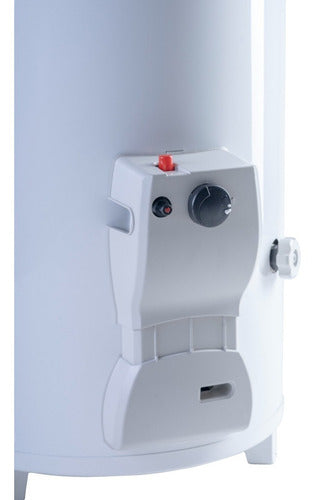 Termotanque Rheem A Gas De Pie 80 Litros Tpg080gnrh Blanco