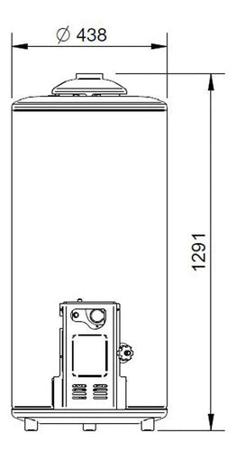 Termotanque A Gas Longvie T4110-n 110lts Conexión Superior Grafito