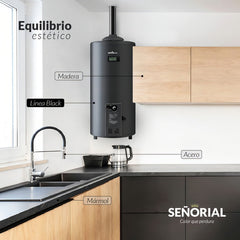 Termotanque Eléctrico Señorial Black Tsbe-60 Negro 60 L