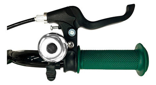 Bicicleta Infantil Randers Bke160 Rodado 16 Rueditas C/luces Color Verde Tamaño Del Cuadro 16