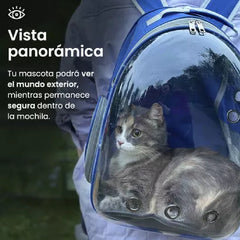 Mochila Transportadora Mascota Perro Gato Capsula Burbuja A Azul