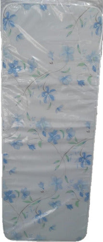 Colchon Cannon Bajo Cama 10cms Espuma (1.80x0.70)