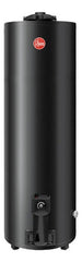 Termotanque A Gas Natural De Pie 150 Lts Tgnp150rh Rheem Mm Color Gris Oscuro