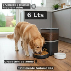 Comedero Para Mascotas Automatico Philco Pf002pp 6 Litros Negro