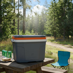 Heladera Conservadora Suv Termolar De 20l Gris Playa Picnic - Gris