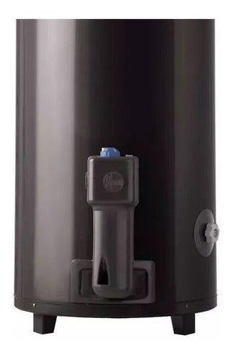 Termotanque Gas Natural Rheem Pie Tgnp120rh 120lts Tio Musa Gris Oscuro