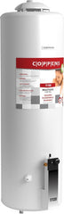 Termotanque Multigas Coppens 120 Litros Conexion Superior Color Blanco