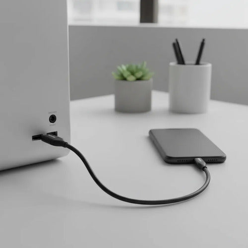 Cable De Datos Philco Conexion Usb-a A Usb-c Quick Charge Negro