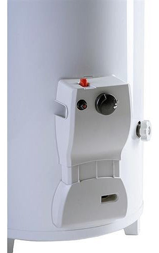 Rheem Functional Tpg120gnrh Termotanque Multigas Color Blanco 120l
