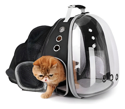 Mochila Transportadora Mascota Perro Gato Capsula Burbuja N Negro
