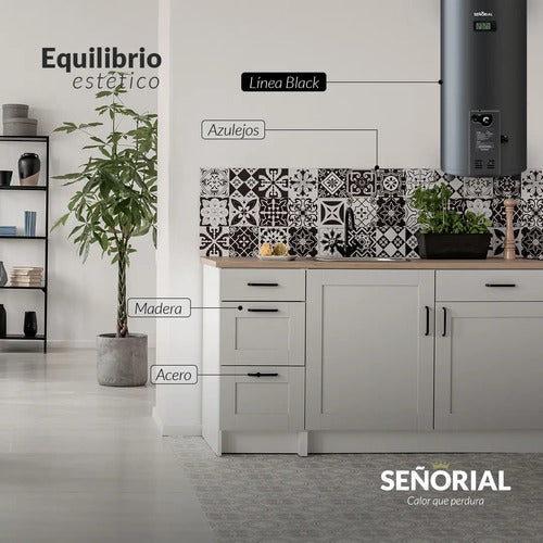 Termotanque Señorial 80 Litros Electrico Black 2.0 Negro Cta Negro