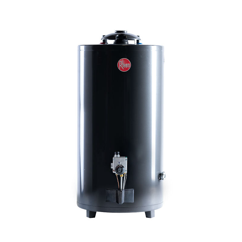 Termotanque A Gas Natural Rheem Aee Tgnp080rh Gris 80l Gris Oscuro