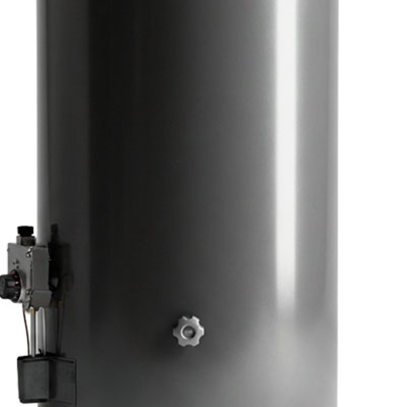 Termotanque A Gas Natural Rheem Aee Tgnp080rh Gris 80l Gris Oscuro